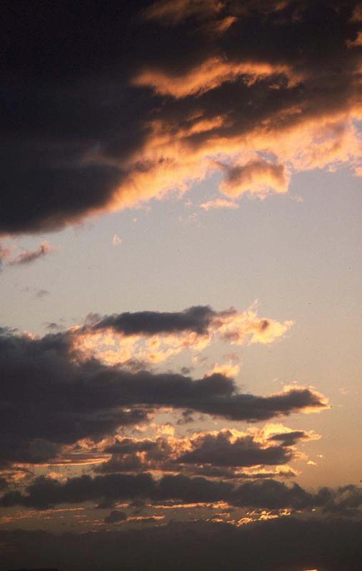 WT 0200 029-37 New Zealand.jpg